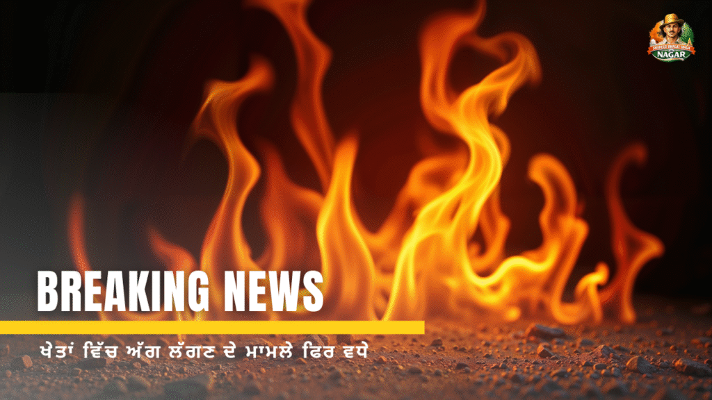 ਖੇਤਾਂ ਵਿੱਚ ਅੱਗ ਲੱਗਣ ਦੇ ਮਾਮਲੇ ਫਿਰ ਵਧੇ